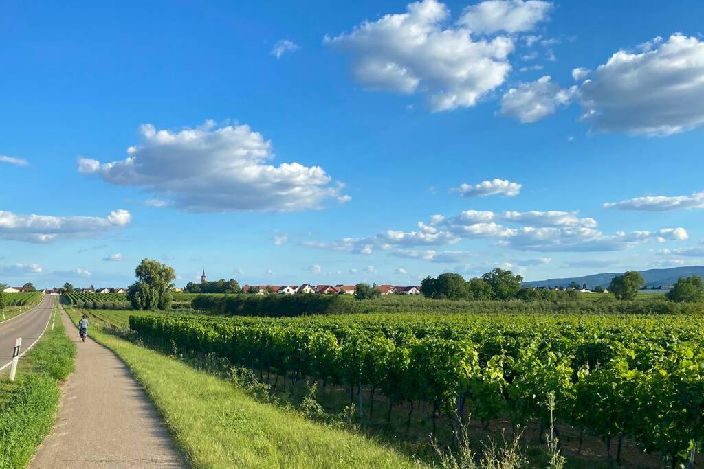 Ruhe Und Entspannung Erpolzheim Extérieur photo