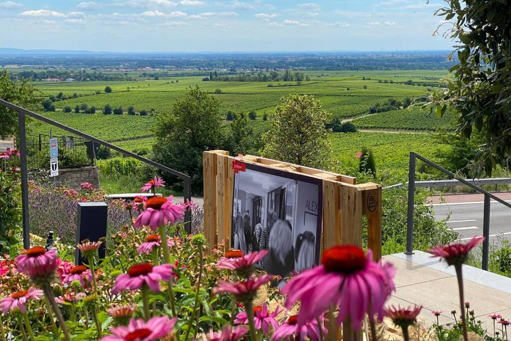 Ruhe Und Entspannung Erpolzheim Extérieur photo